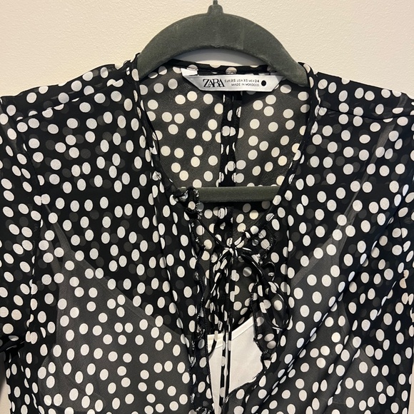 Clothes - Picture 6 of 6